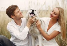 Luksuzna kavarna za pse s francoskim kuharjem in degustacijskim menijem za 75 dolarjev