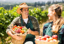 Kako doma pridelano zelenjavo ohranimo čez zimo